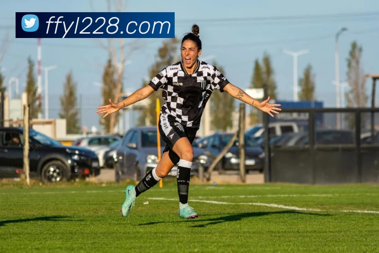 非凡娱乐官网平台生态图