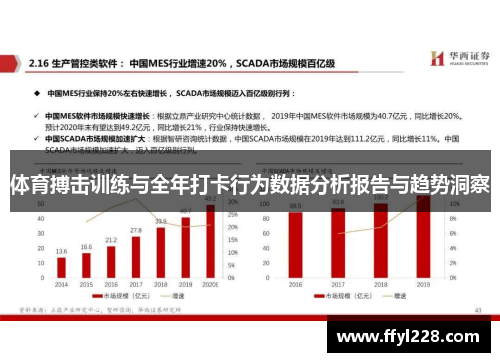 体育搏击训练与全年打卡行为数据分析报告与趋势洞察